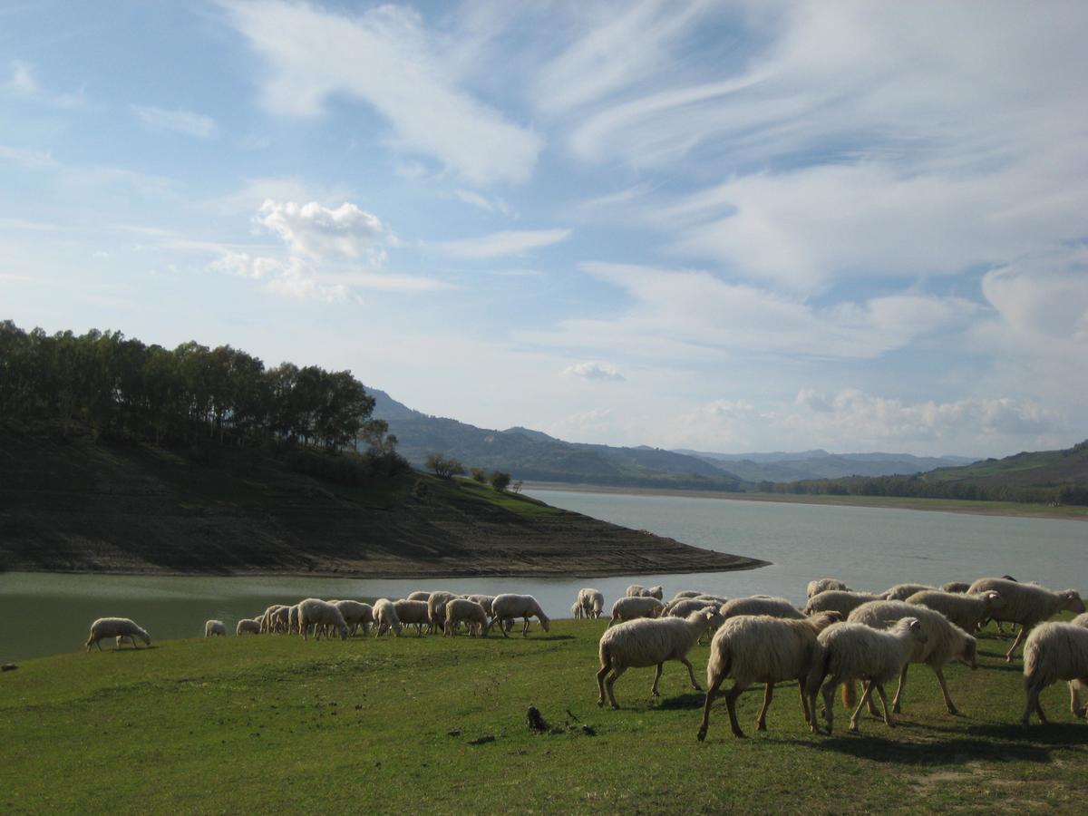 Oasi Del Lago Regalbuto Exterior foto