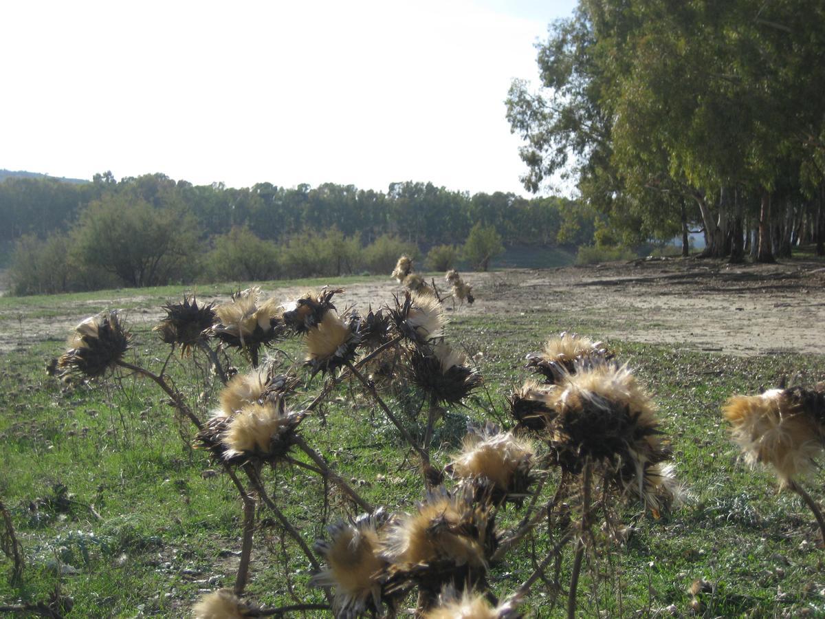 Oasi Del Lago Regalbuto Exterior foto