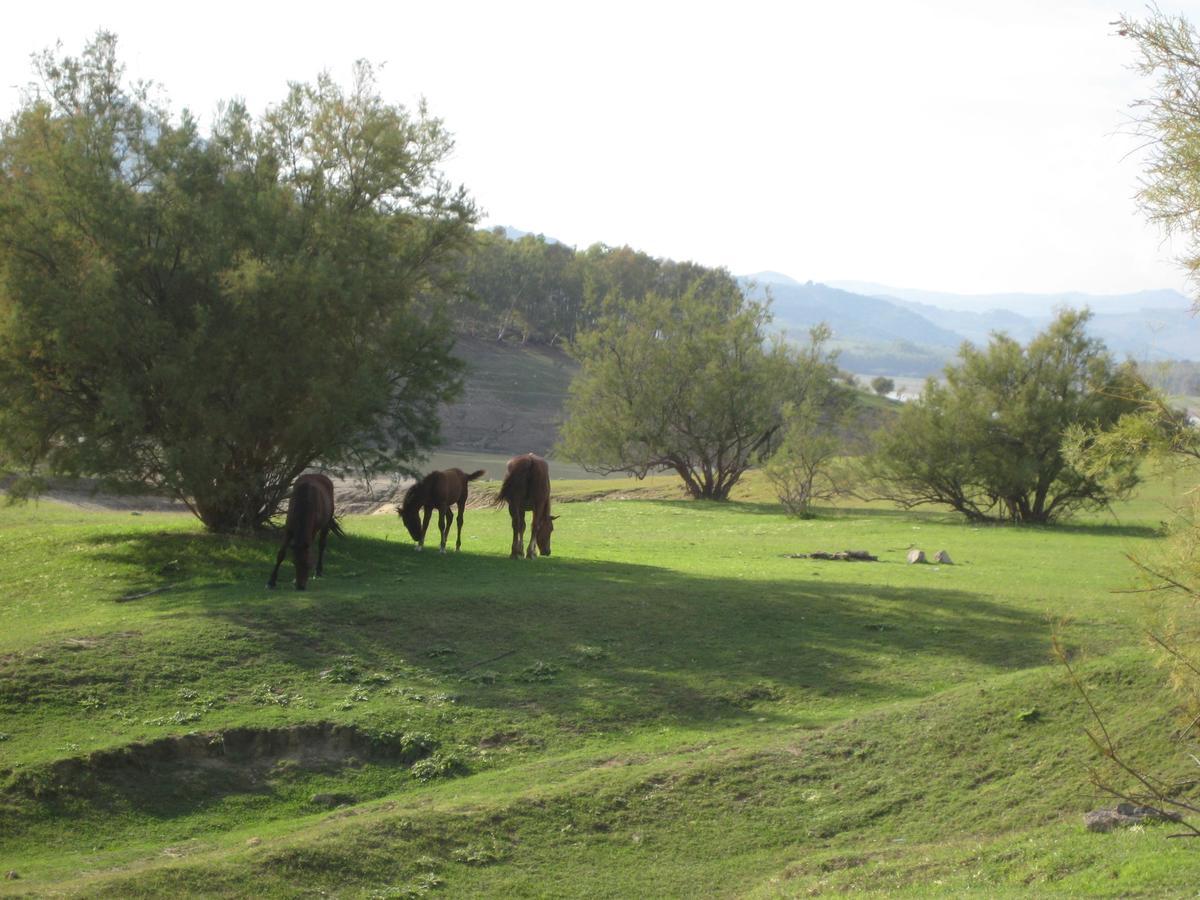 Oasi Del Lago Regalbuto Exterior foto