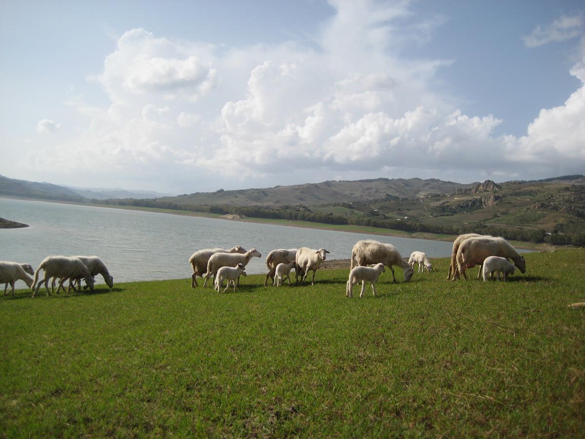 Oasi Del Lago Regalbuto Exterior foto